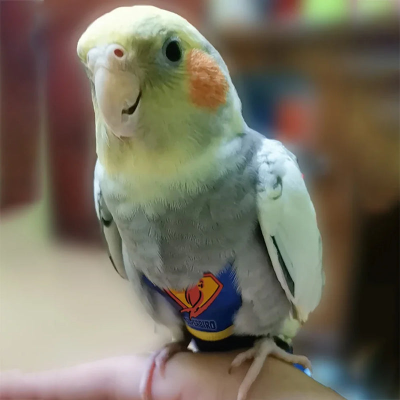 Traje de Vuelo Reutilizable para Loro de Algodón