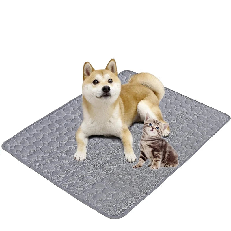 A fluffy golden dog and a small tabby kitten resting on a gray cooling pet mat.