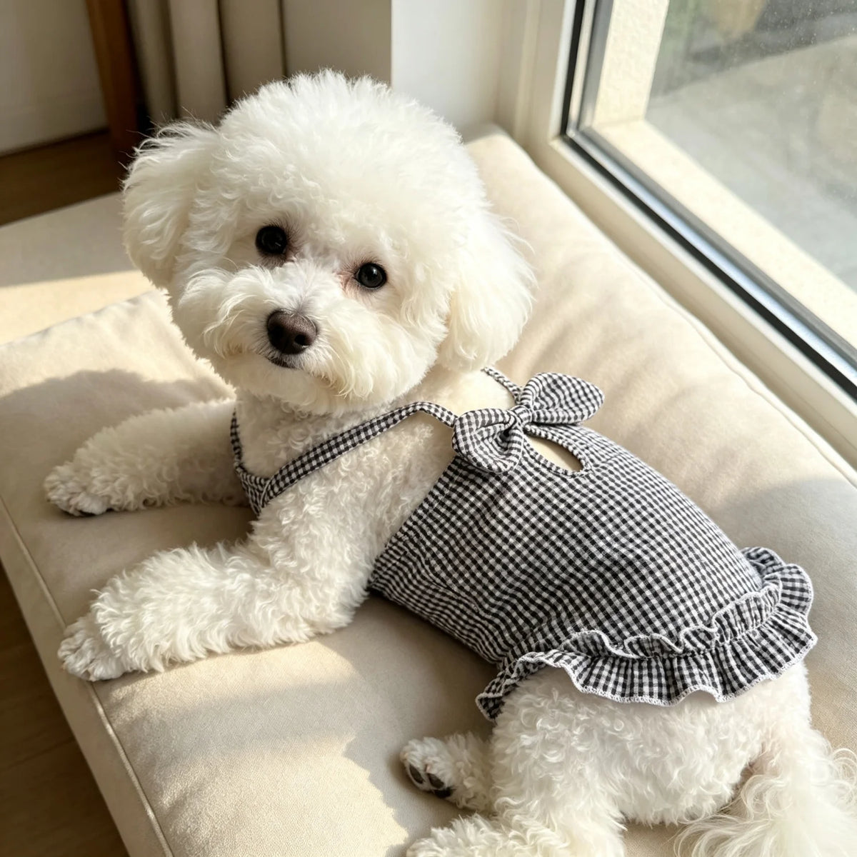 A fluffy white dog wearing a black and white checkered ruffled tank top sits by a window.
