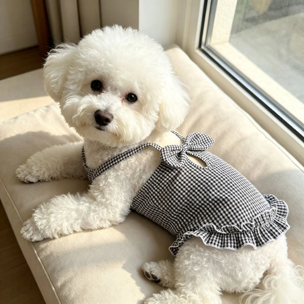 A fluffy white dog wearing a black and white checkered ruffled tank top sits by a window.