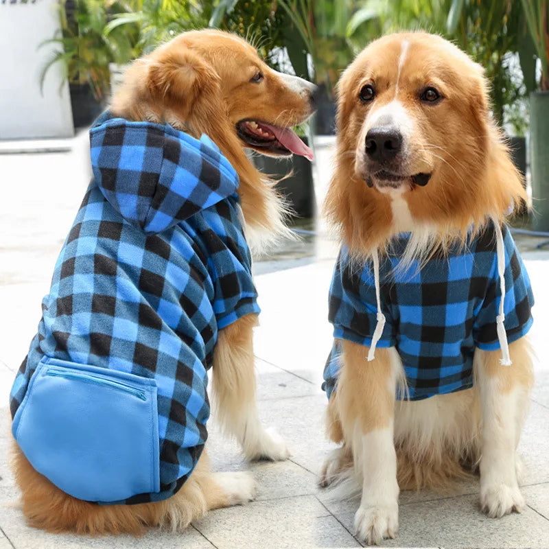 A golden retriever wearing a blue and black plaid dog jacket with a cozy fleece lining.