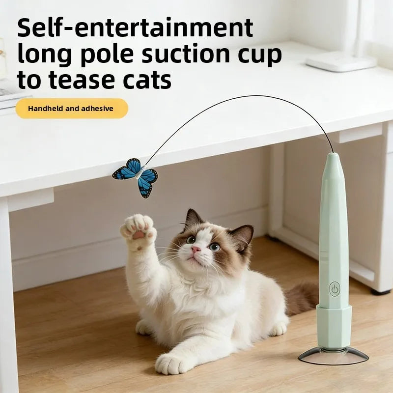 Ein flauschiger tabby-Kater interagiert mit einem Saugnapfspielzeug, das Katzen ärgert.
