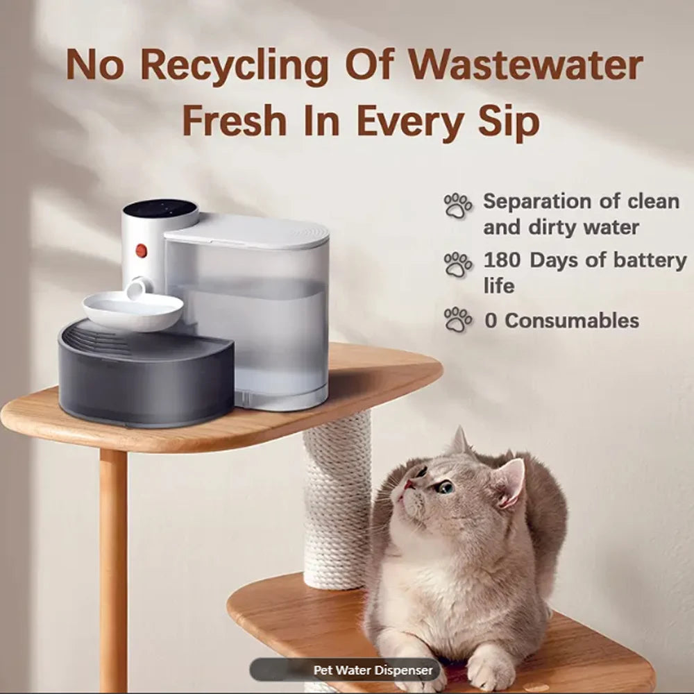 Weißer automatischer Trinkwasserdispenser für Haustiere neben einer Katze, mit Hinweis gegen die Wiederverwendung von Abwasse