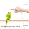 Elastic Parrot Training Leash with Metal Buckle