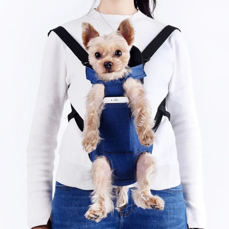 Un petit chien brun clair portant un sac de voyage pour animaux bleu et respirant, tenu par une personne.