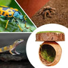 Magnetic Spider Hide Cave for Jumping Spider Enclosures
