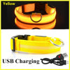 Yellow USB rechargeable pet safety light collar shown in both a worn state and as a separate strap with a charging cable.