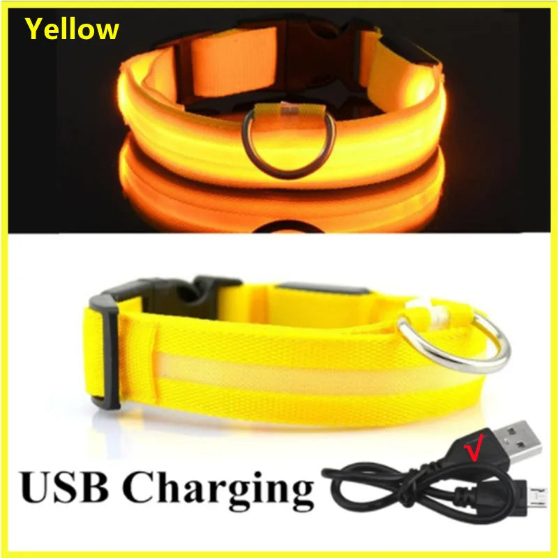 Yellow USB rechargeable pet safety light collar shown in both a worn state and as a separate strap with a charging cable.