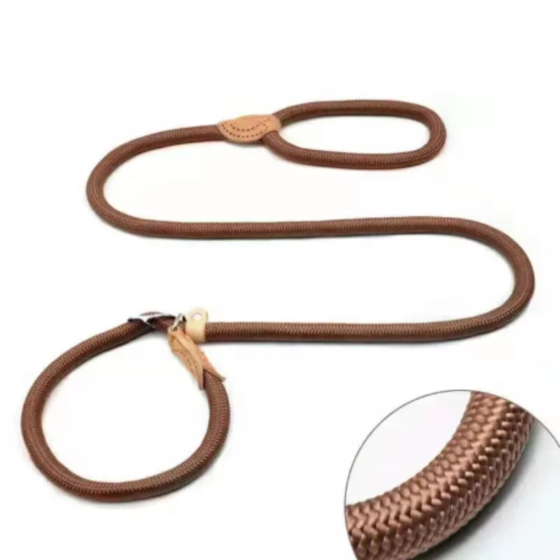 Robbe, verstellbare Nylon-Hundeleine