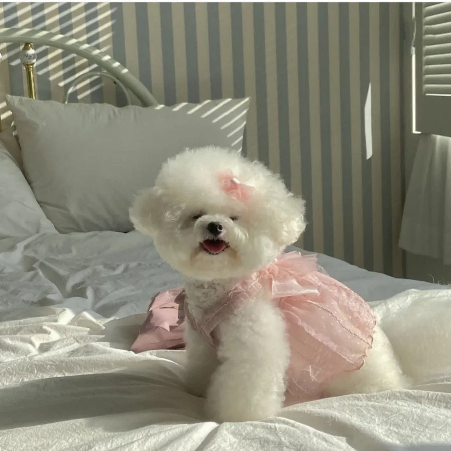Adorable Princess Dress for Small Dogs and Cats
