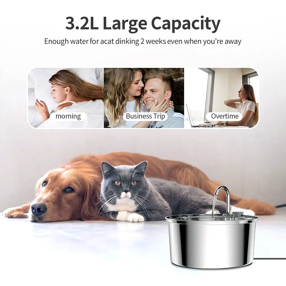 Fontaine à eau pour animaux en acier inoxydable avec de l'eau qui coule, placée près d'un chien et d'un chat.