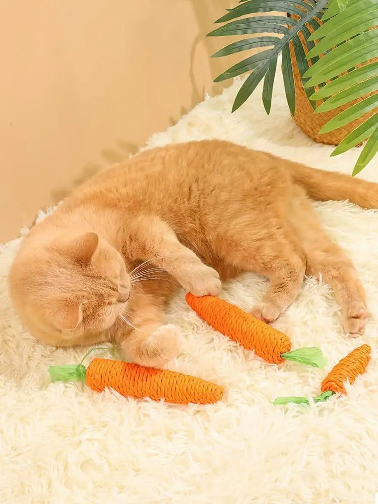 Juguete para Mamar de Gato con Forma de Zanahoria