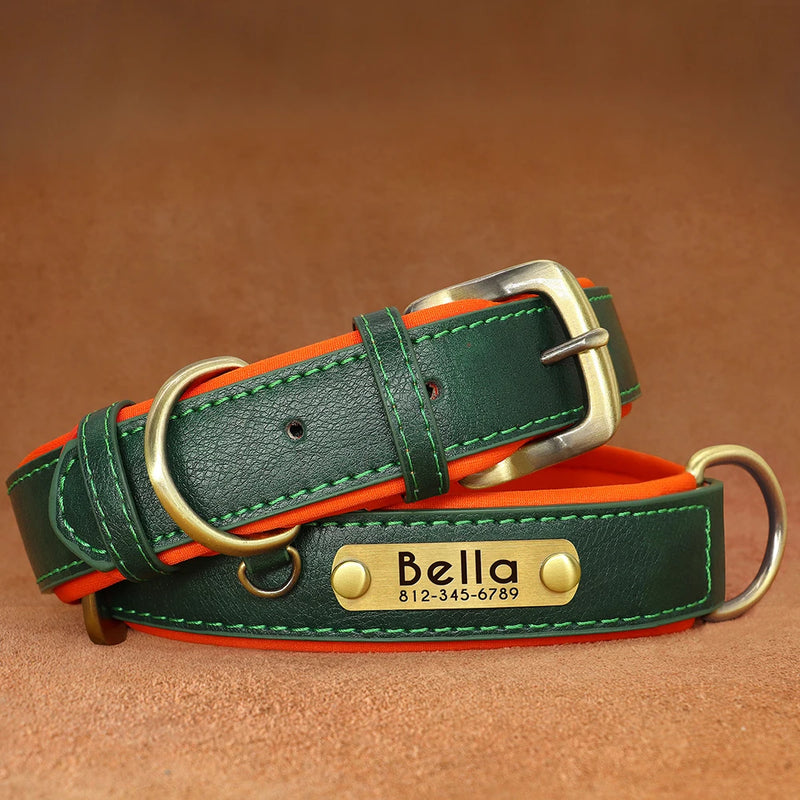 Personalisierte gepolsterte Leder-Hundehalsband mit graviertem Namensschild