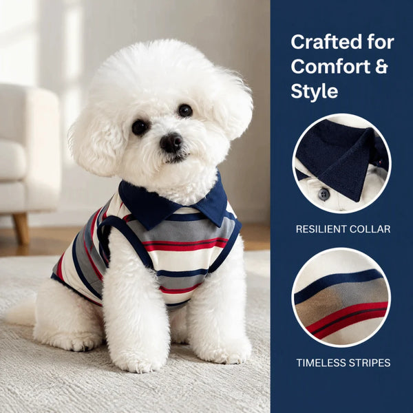 A white poodle wearing a navy and striped polo shirt with a collar, displayed on a light surface.