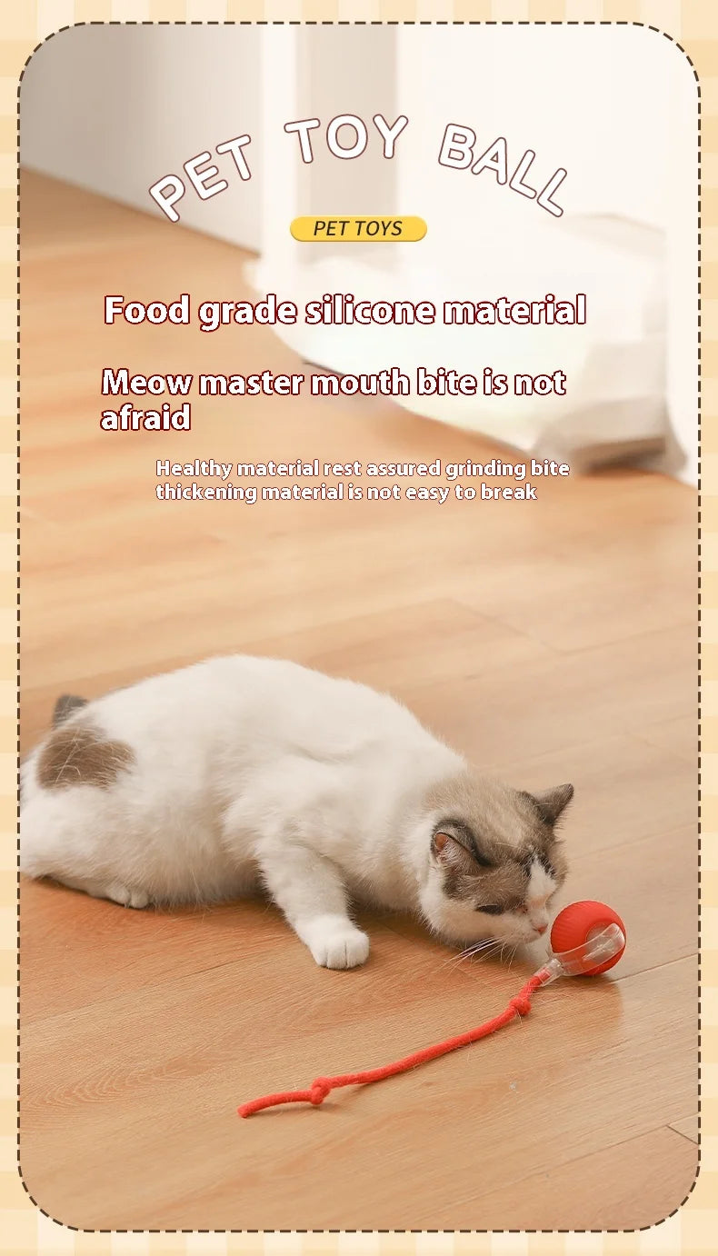 Interactive Rolling Cat Toy with Faux Tail