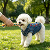 Un chien blanc et duveteux portant une veste en jean est joué par une personne dans un parc gazonné.