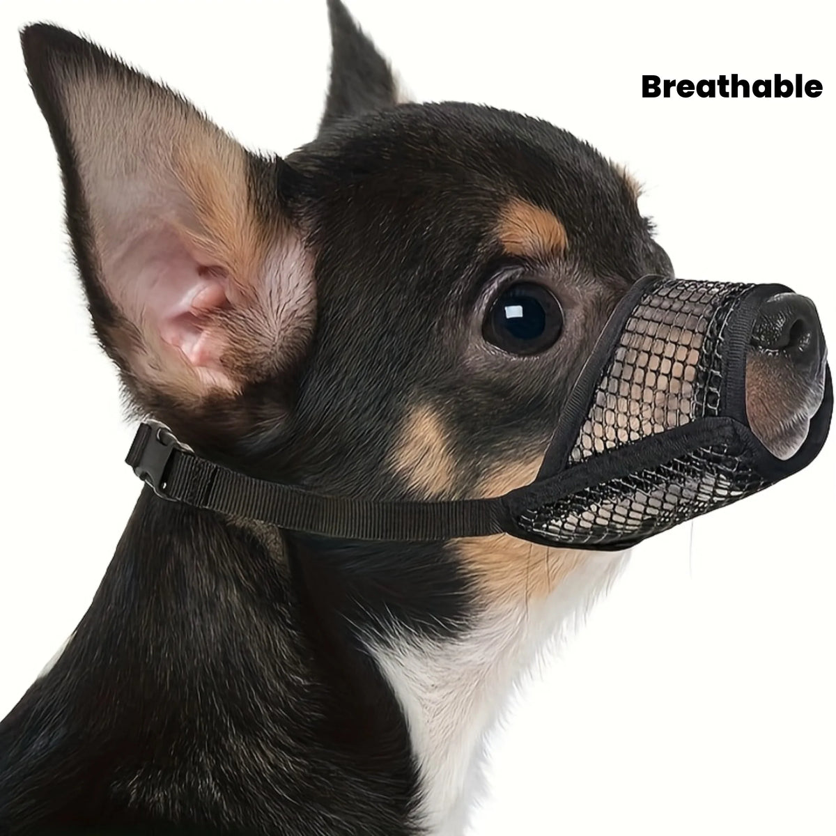 A close-up of a dark-colored dog wearing a breathable mesh muzzle for protection.