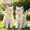 Two white cats wearing floral breakaway collars with bells sitting on green grass.