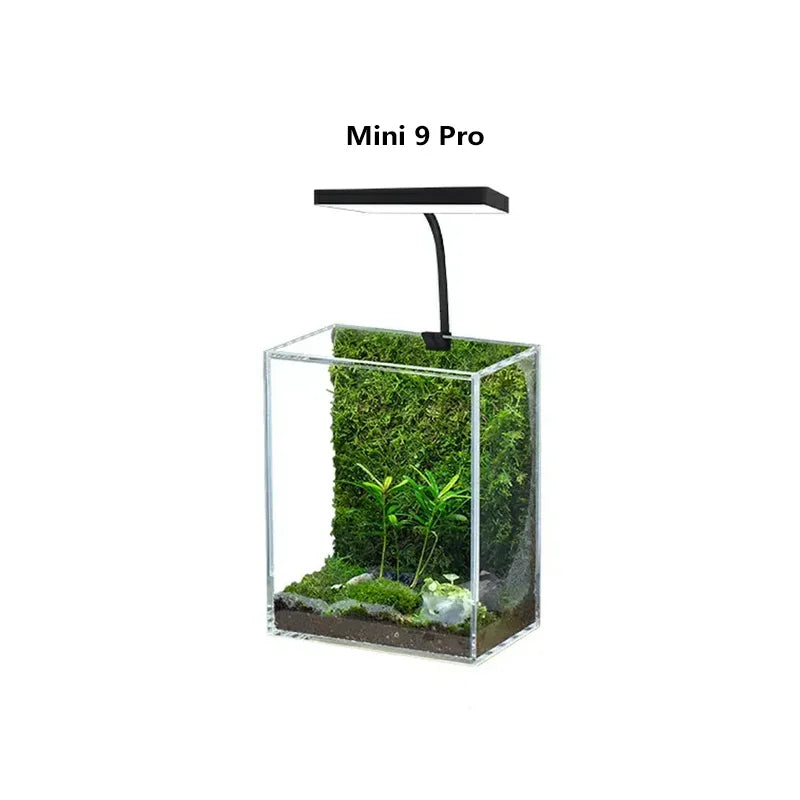 A clear glass cube planter containing green plants illuminated by a black LED grow light.
