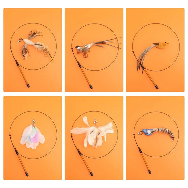 A collection of interactive feather wand cat toys featuring various feathers and lures.