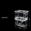 Acrylic Fish Breeding Isolation Box with Double Compartments