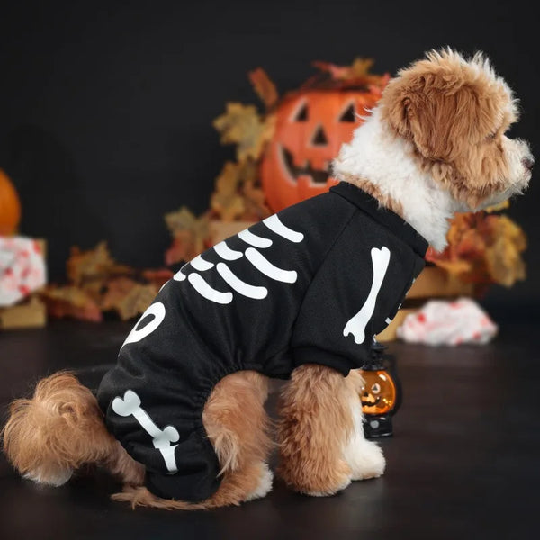 A golden retriever wearing a black glow-in-the-dark skeleton costume lying on a dark surface with autumn leaves and a pumpkin