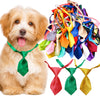 Un perro con una corbata verde junto a una variedad de pañuelos ajustables para perros y gatos.