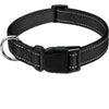 Verstellbares Nylon-Hundehalsband für kleine bis große Rassen