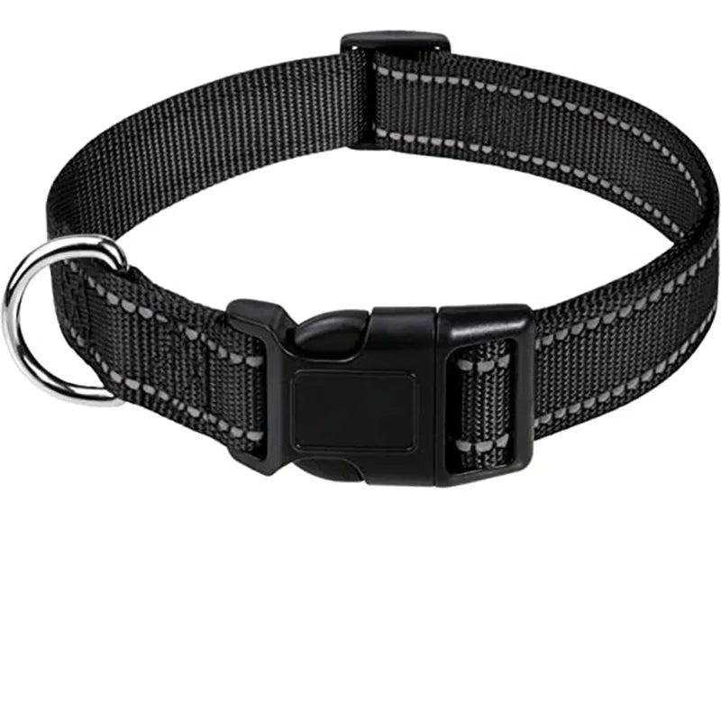 Decorative Nylon Dog Collar with Buckle Closure