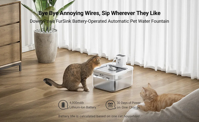 Fontaine à eau automatique pour chat en acier inoxydable