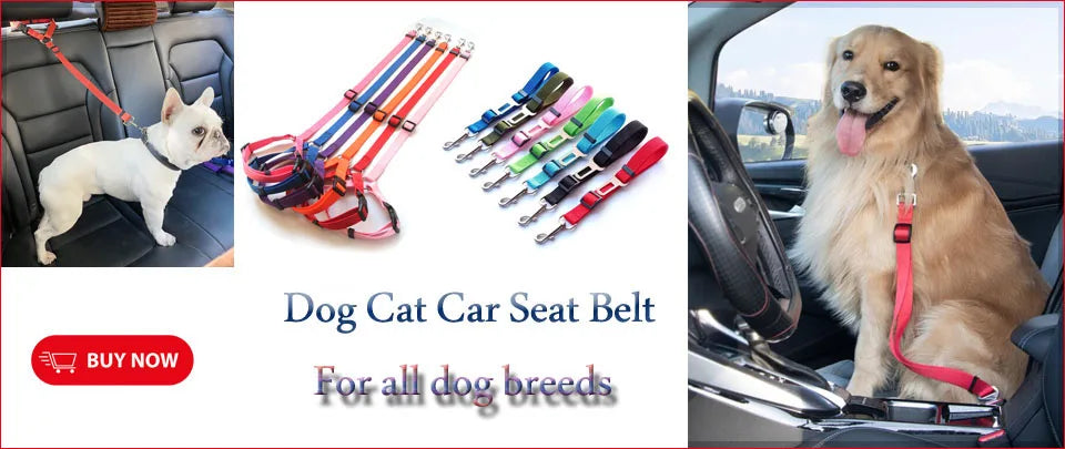 Paw Print Dog Poop Bags with Dispenser