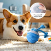 Interactive Rolling Dog Ball with Motion Sensor and Rope