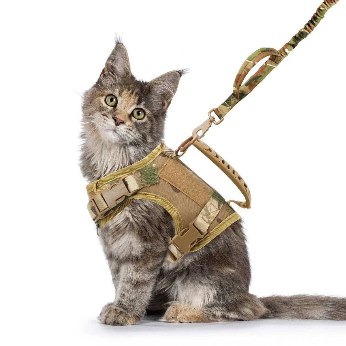 Escape-Proof Mesh Cat Harness and Leash Set with Control Handle
