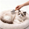 Un chat blanc et duveteux est brossé avec une brosse à déshabiller en métal tenue par une main.