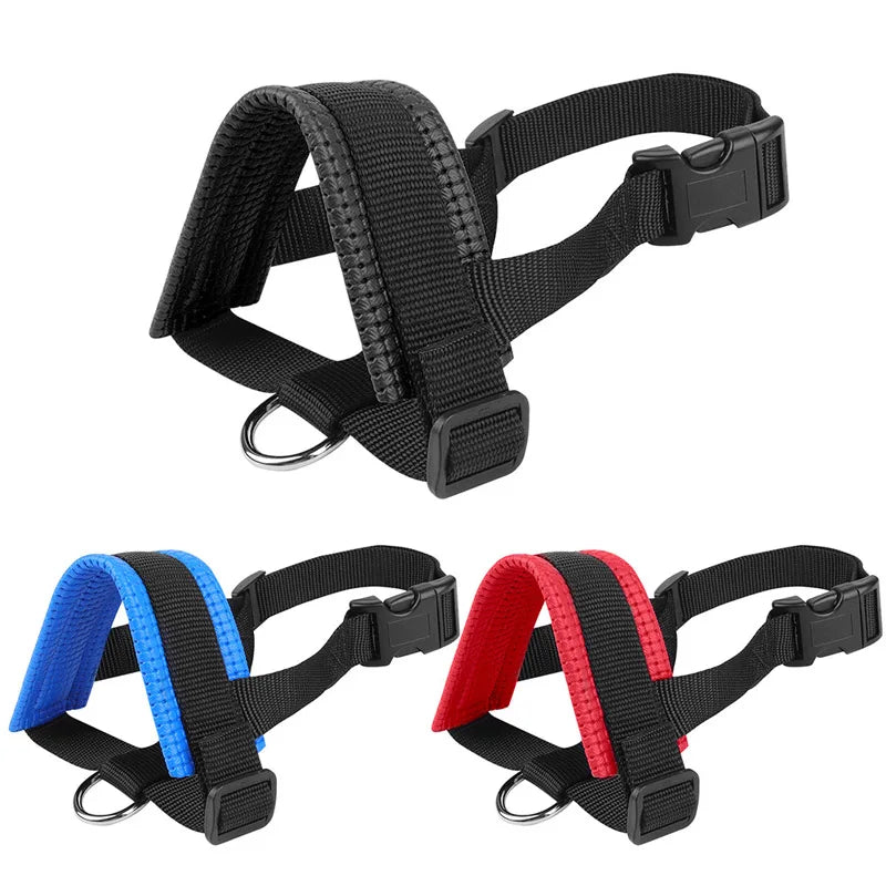 Black adjustable dog muzzle with blue and red straps for safe training