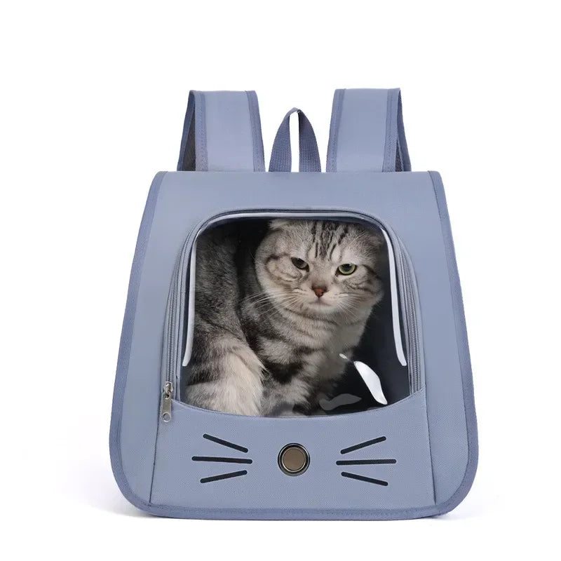 A light blue pet carrier backpack designed for cats and small dogs, featuring a cutout for the animal's head.