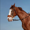 Bridon en cuir réglable pour cheval (Hackamore)