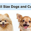 Pet Carrier Backpack for Small Dogs and Cats
