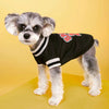 Classic Cotton Knit Dog Sweater for Small & Medium Breeds