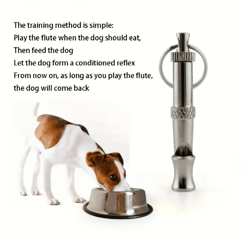 An adjustable stainless steel dog whistle and feeding bowl setup for training a dog's recall.