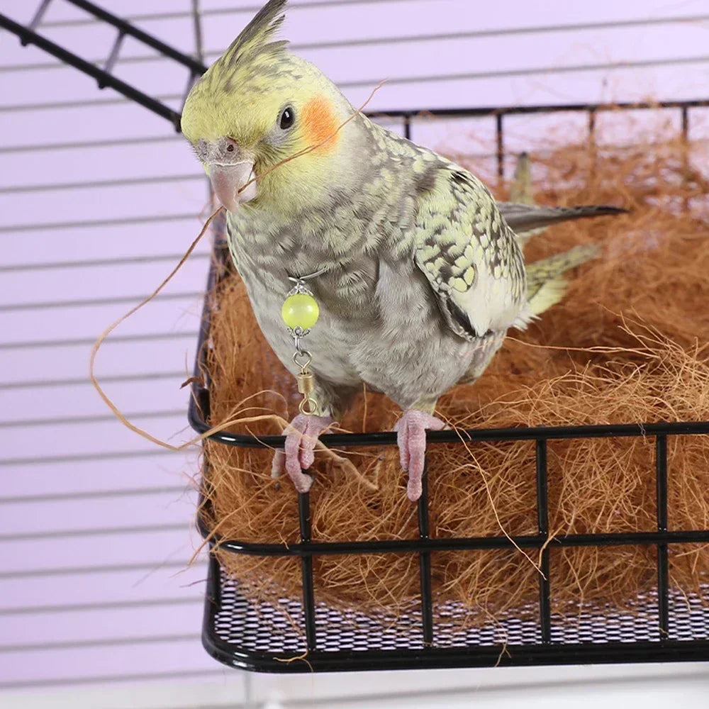 A small yellow and gray parrot perched on a brown nest inside a black mesh cage.