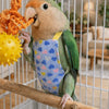 Breathable Parrot Flight Suit with Poop Pocket