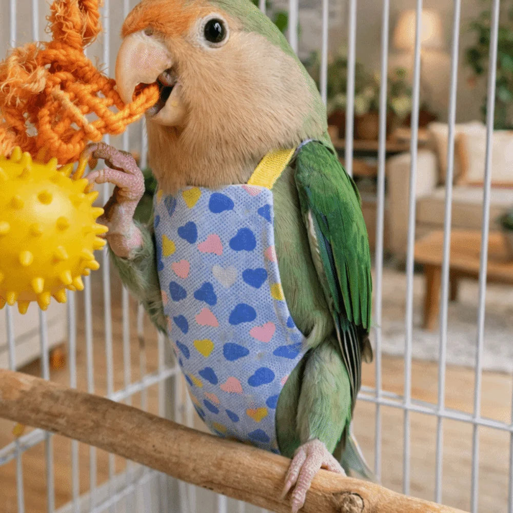 Breathable Parrot Flight Suit with Poop Pocket