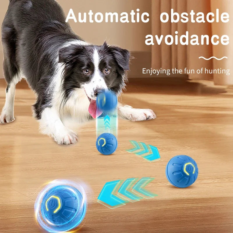 Interaktiver smarter Hundespielball