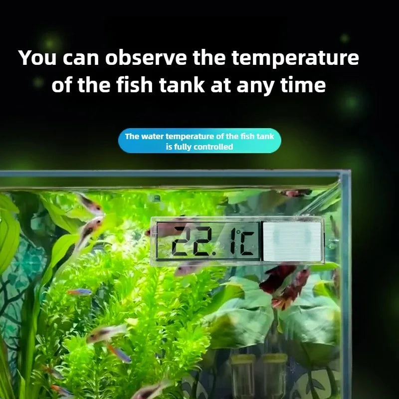 Supports à ventouse pour tuyaux d'aquarium