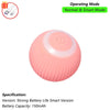 Automatic Interactive Rolling Cat Toy with Bird Sounds