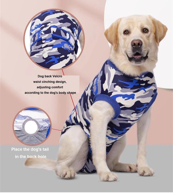 Ein Golden Retriever trägt einen Tarnanzug für Tierrettung mit einem Loch im Rücken, zeigt die Designdetails.
