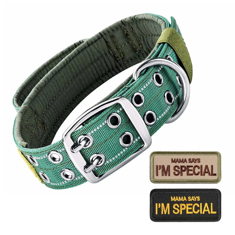 A green nylon tactical dog collar with a silver buckle and handle, featuring reflective studs.