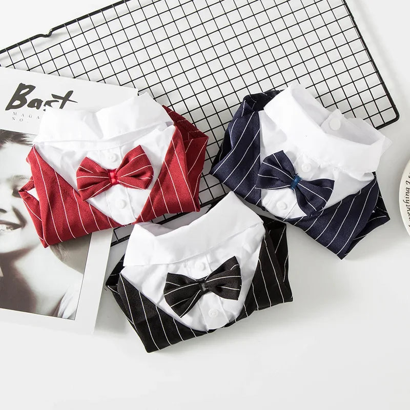 A collection of elegant striped tuxedo pet outfits for dogs and cats displayed on a black grid background.