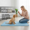 Ein golden Retriever sitzt auf einer blauen Cooling-Seiden-Trainingsmatte in einem hellen Wohnzimmer.